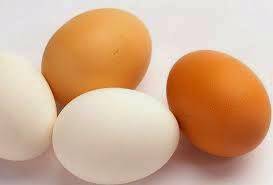 Οι κότες βελτιώθηκαν Τα σημερινά αβγά «πιο υγιεινά σε σχέση με τη δεκαετία του 1980» Οι κότες βελτιώθηκαν Τα σημερινά αβγά «πιο υγιεινά σε σχέση με τη δεκαετία του 1980»