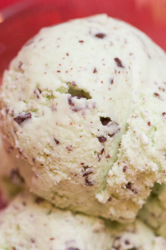 Mint Chocolate Chip Ice Cream