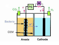 generalized schematic of microbial fuel cell reactor