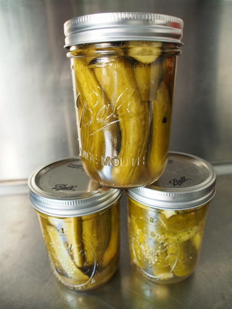 Jarhead Pickling Blog Dill Pickles featuring Kirby Cucumbers