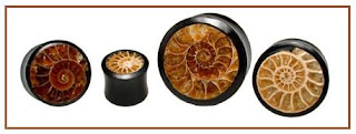 Ammonite Fossil Ear Plug Alargador de Fossil Ammonite Fossil Ear Plug Alargador de Fossil