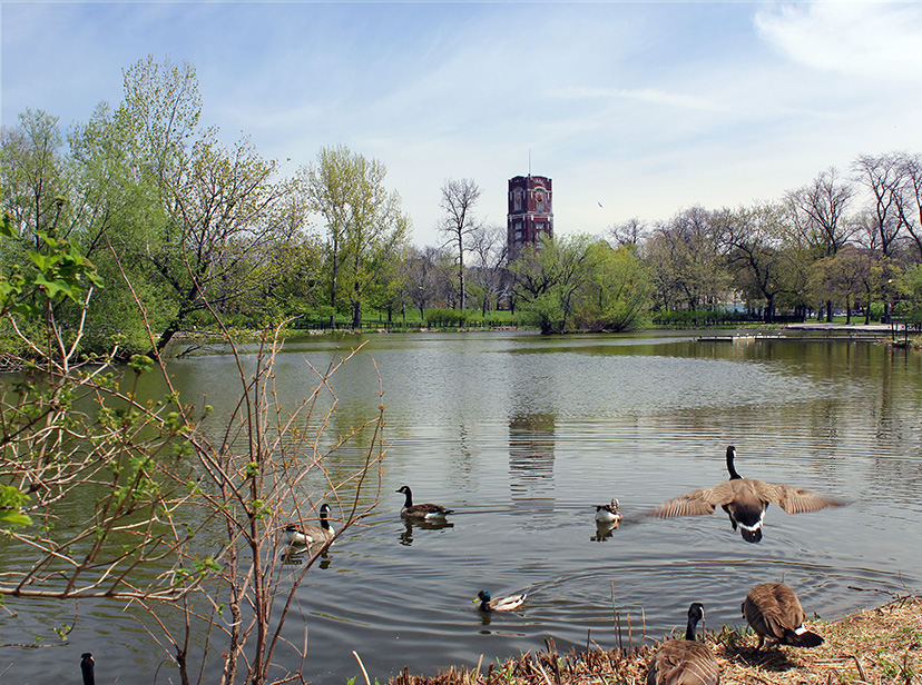 ArchitectureChicago PLUS Preview the changing CMD and the potential