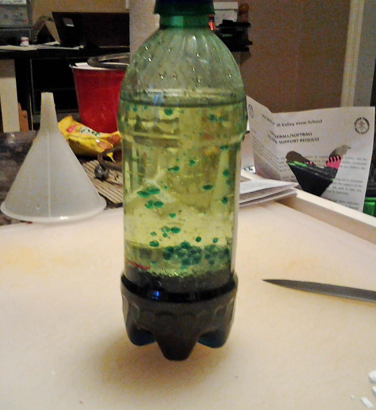 Evey's Creations Getting Groovy with Science