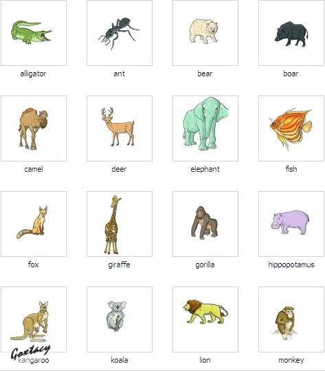 English Vocabulary: Resimlerle Kelimeler-2