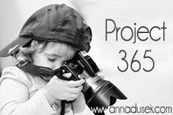 Anna Dusek Photography Anna Dusek Photography