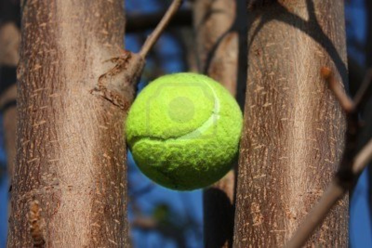 Lumunos Blog Prayer When Getting Tennis Balls Out of Trees
