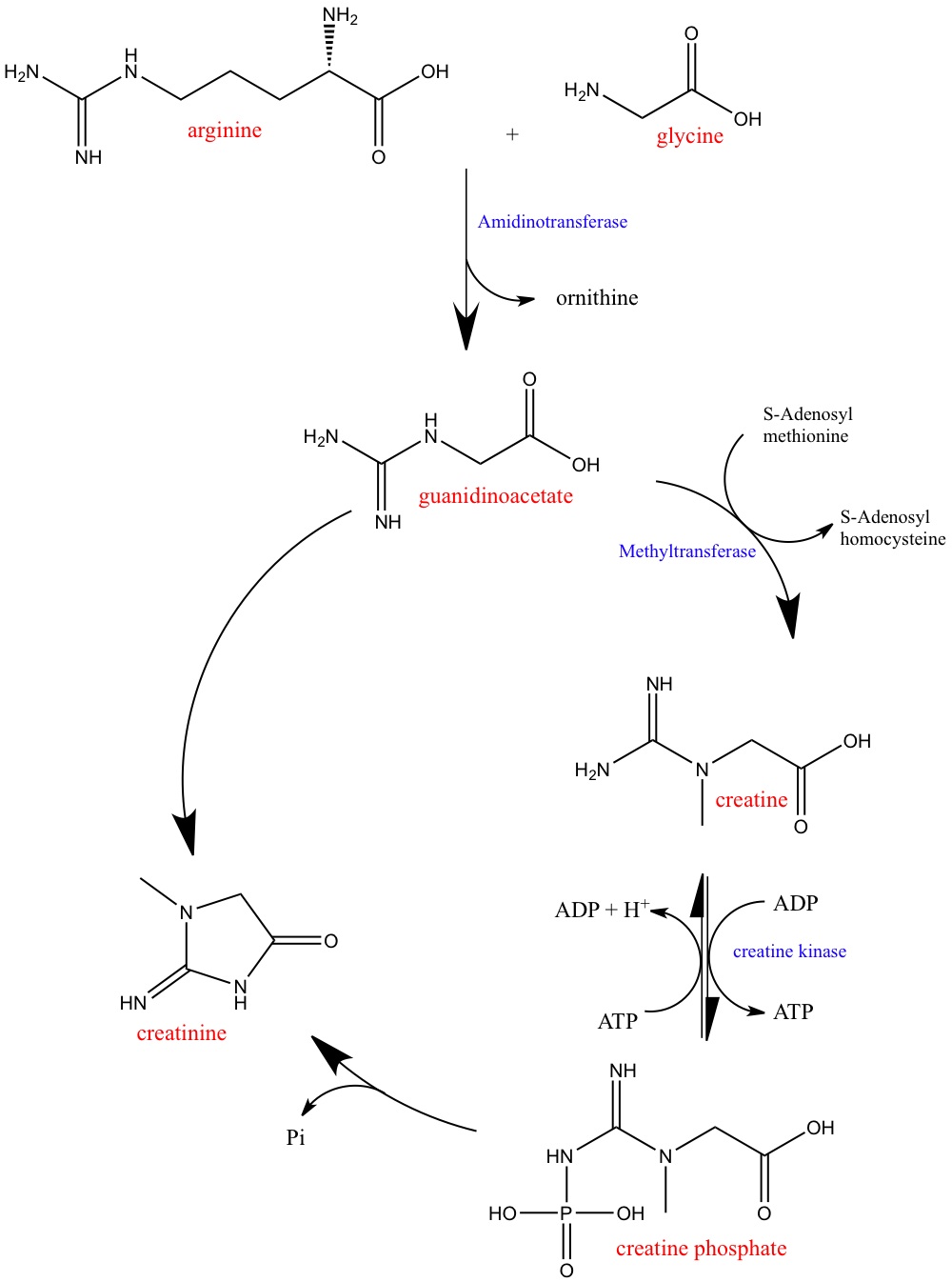Sarah Twomey's R503 Blog