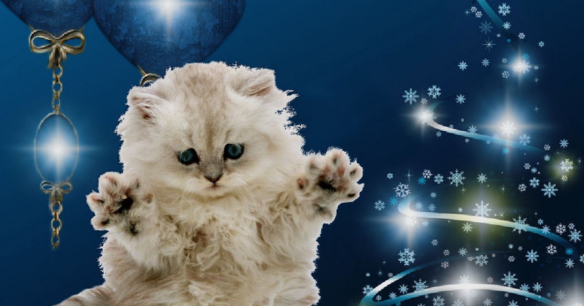 Ultimate Free Desktop Wallpaper Gallery, Utimate Desktop Wallpaper