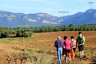Travessant els camps del Muntanyà Travessant els camps del Muntanyà