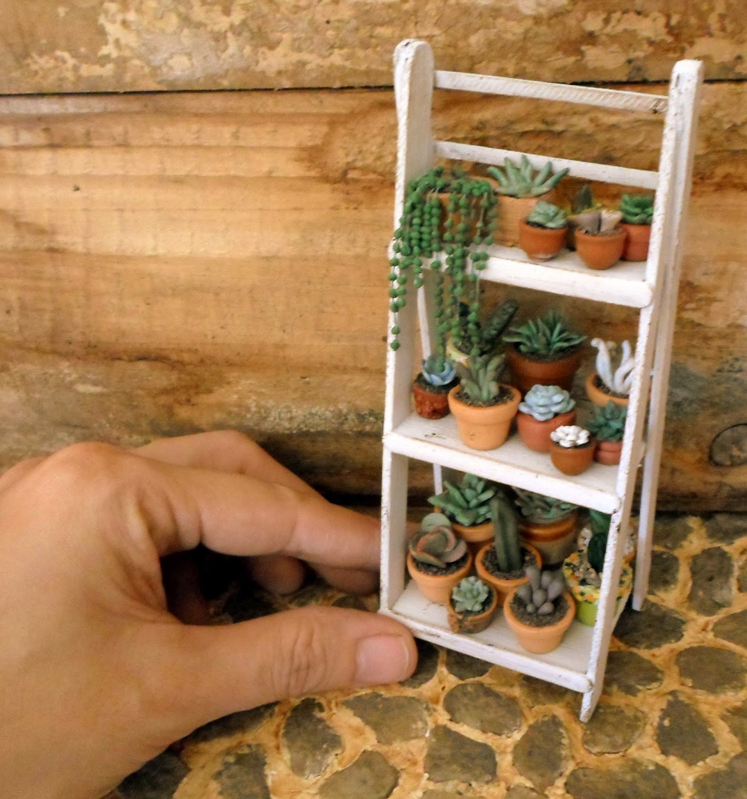 Las Margaritas: Escalera estante de madera, para mis cactus y suculentas