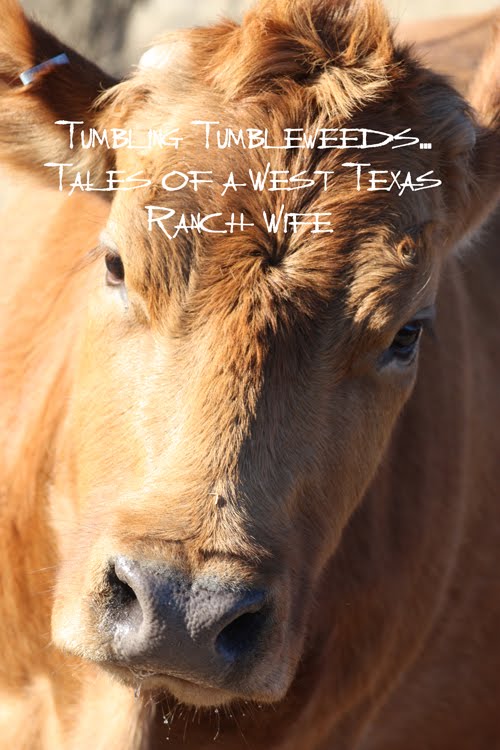 Tumbling Tumbleweeds...Tales of a West Texas Ranch Wife
