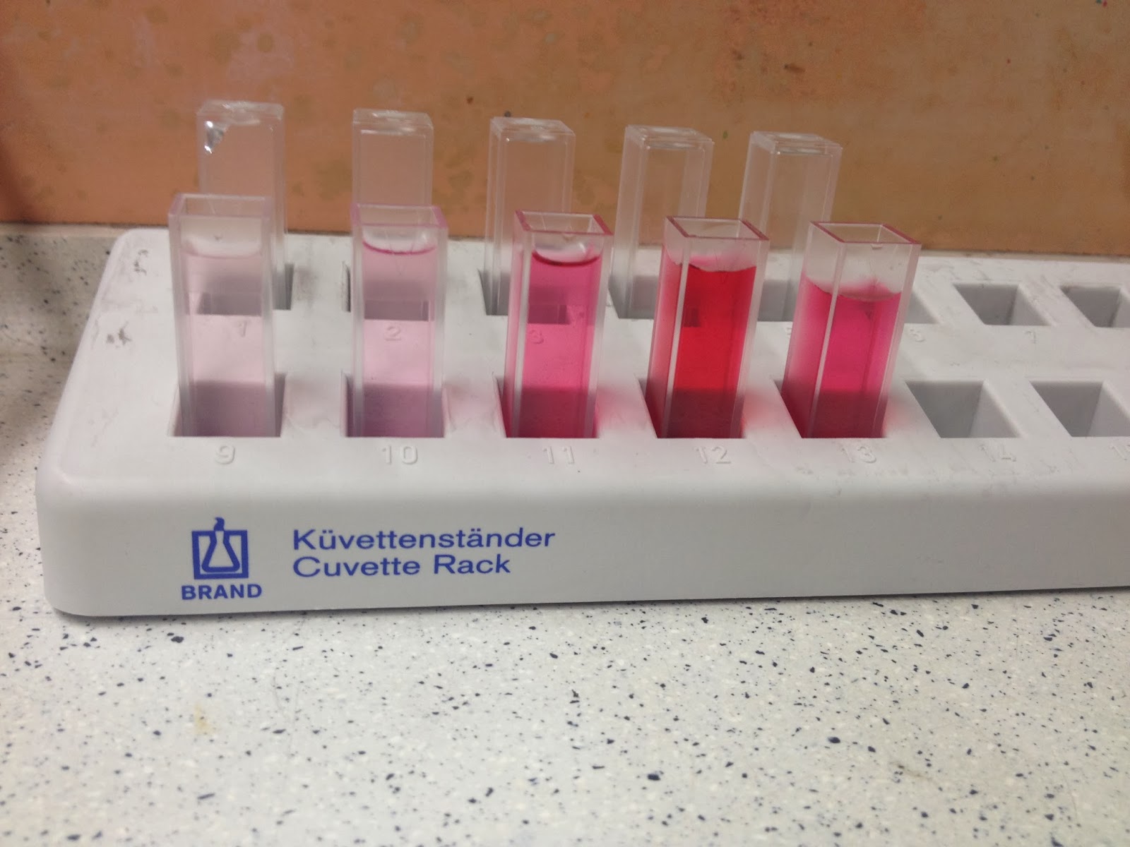 Biology Interactive Notebook Natasha Tai (Class 304) Beetroot