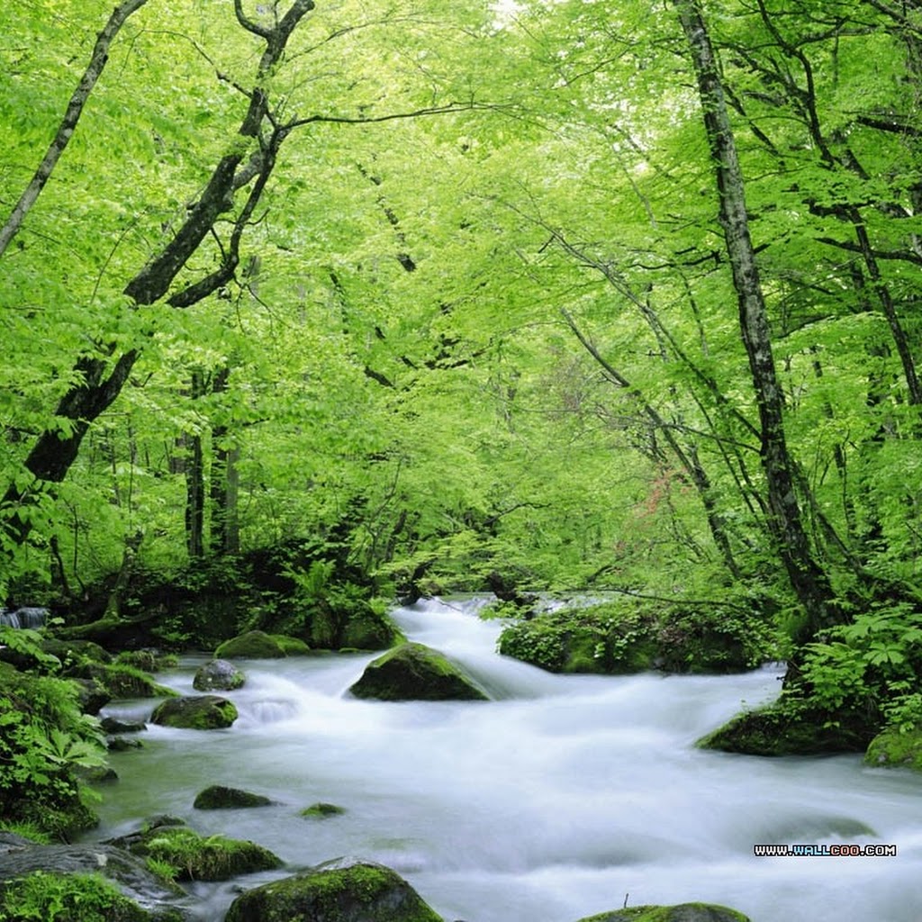 Images Of Nature Images Of Nature
