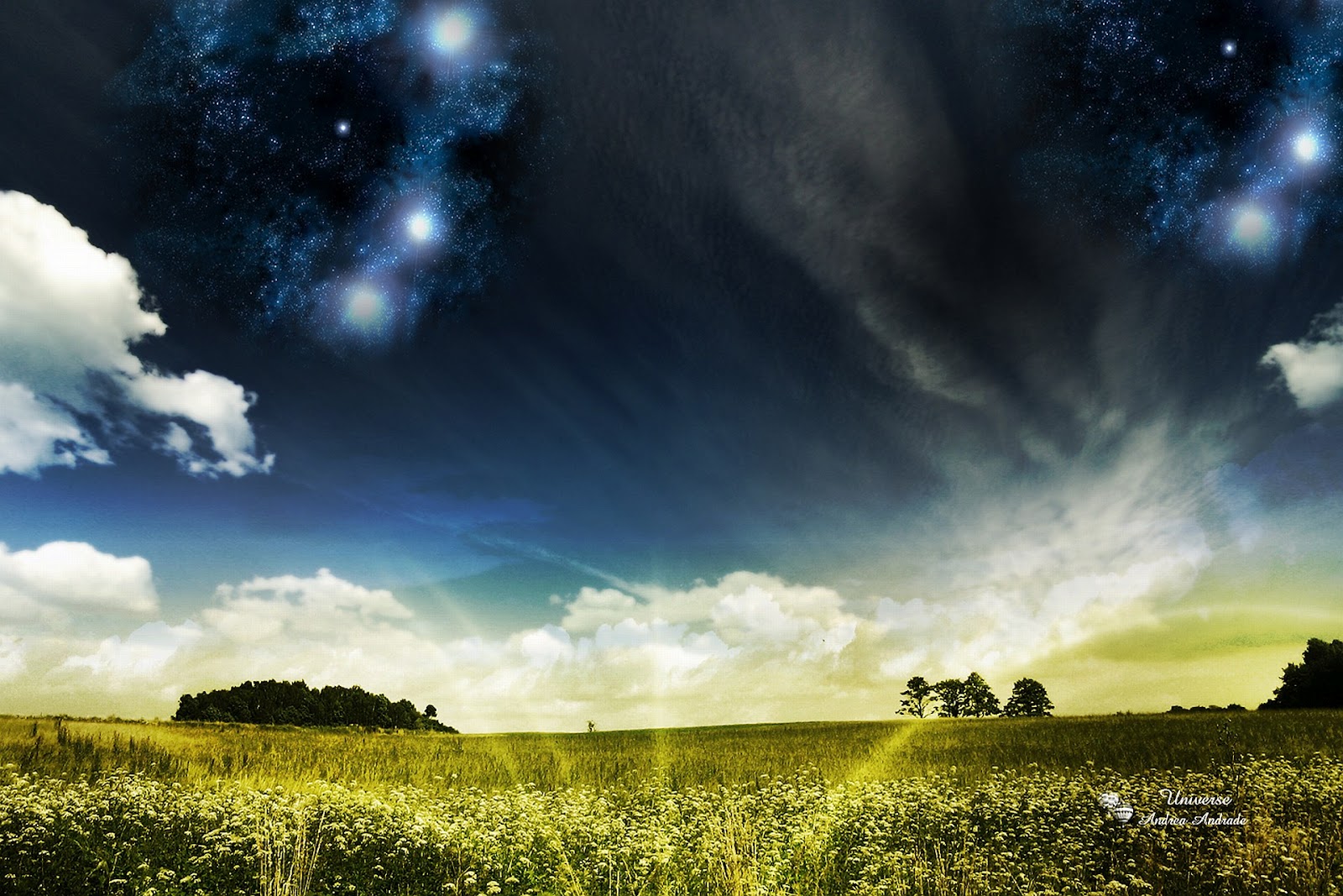 http://4.bp.blogspot.com/-uePWE0x0CzM/UE-Lf4vH8-I/AAAAAAAAA0Y/QxyemIobTZA/s1600/3d+HD+Wallpapers+for+Tablet+PC+and+Windows+Phones+www.mixwix69.org+12++.jpg