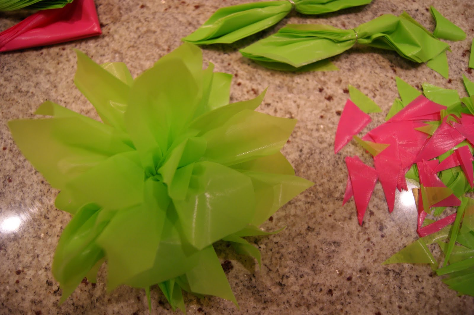 michelle paige blogs Plastic Tablecloth Poms