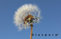 Come to DIASPORA Social Network