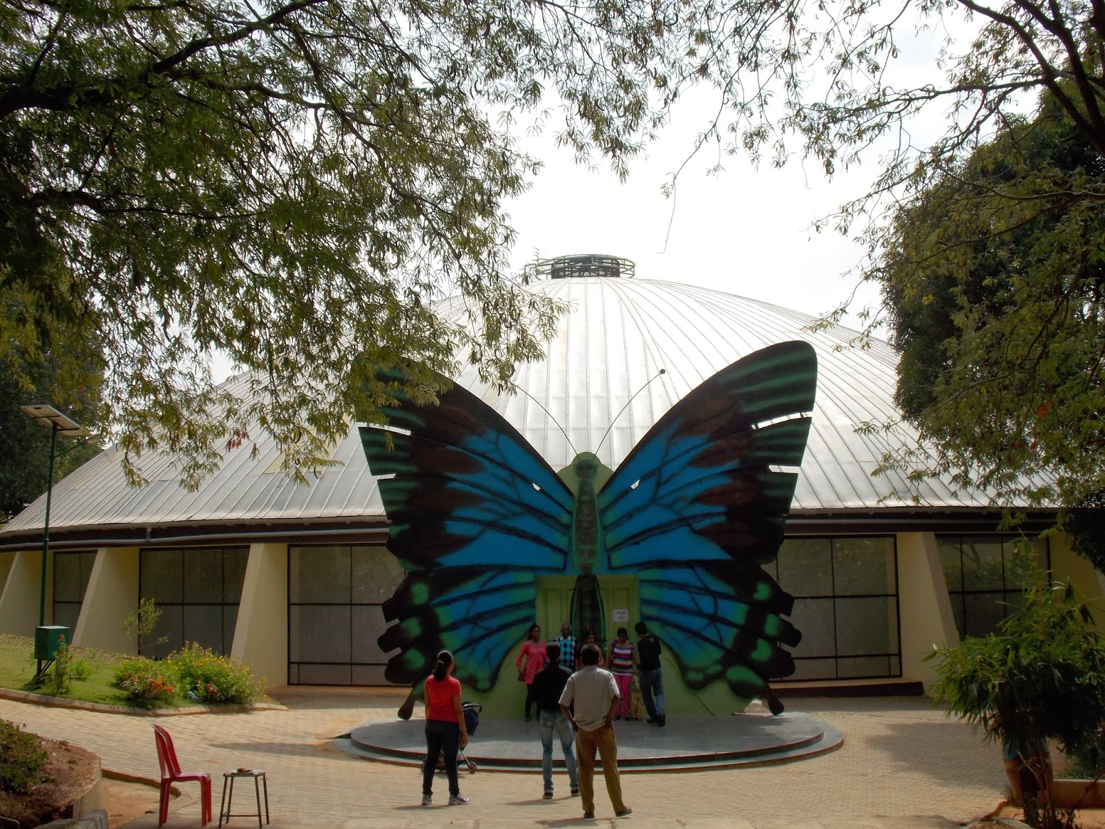 Reflection Bangalore's Butterfly Park