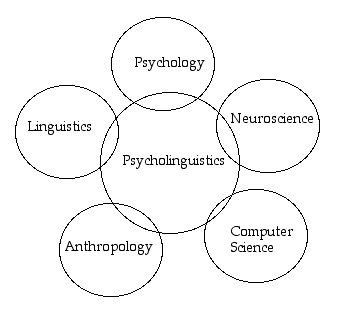 psycholinguistics aspects linguistics english literature center language relationship acquisition