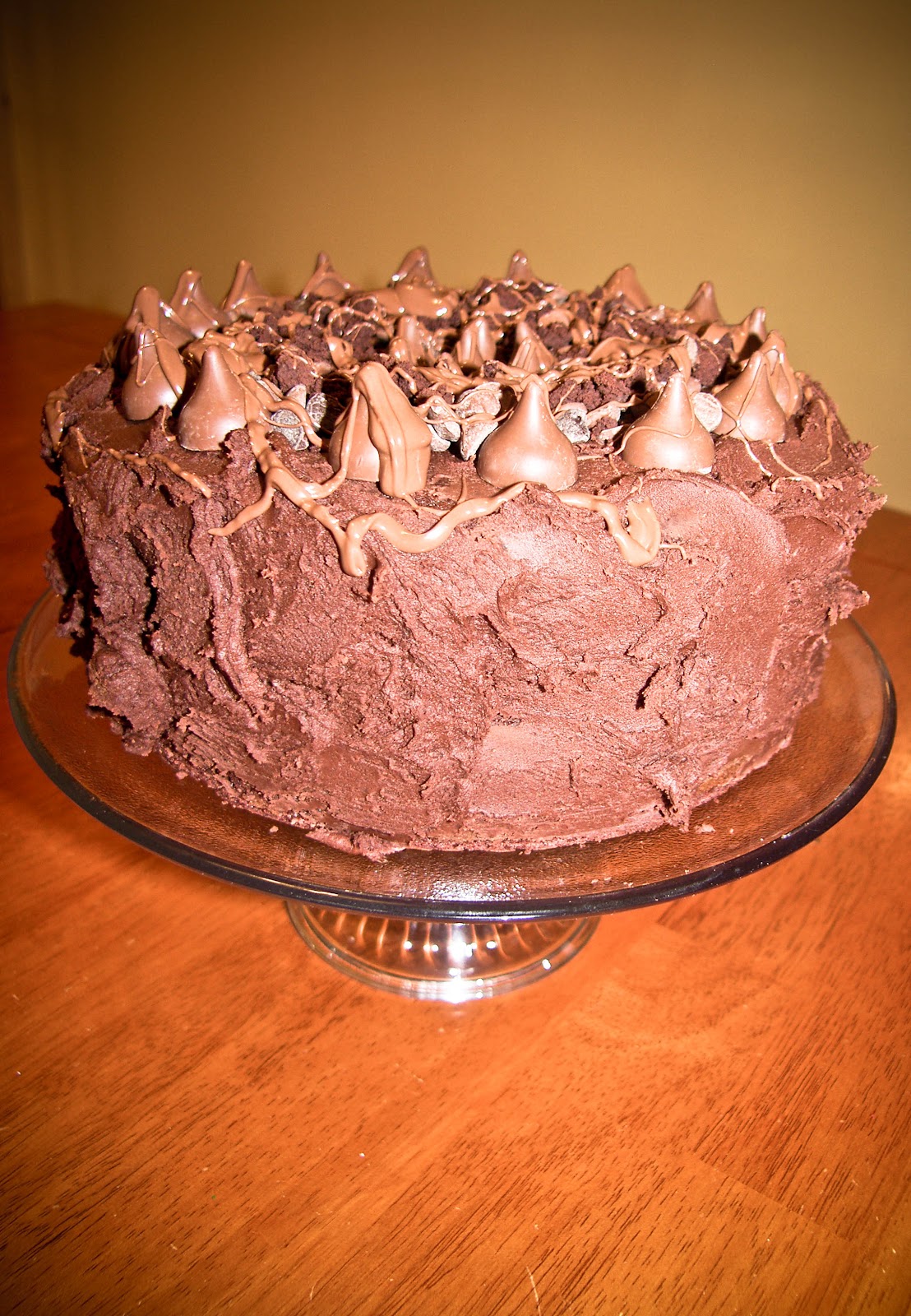Crazy Chocolate Wasted Cake!!! The DIY Dreamer
