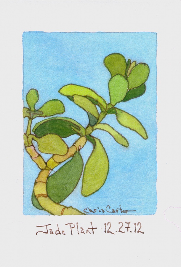 Chris Carter Art.......... Smaller Than A Breadbox Jade Plant