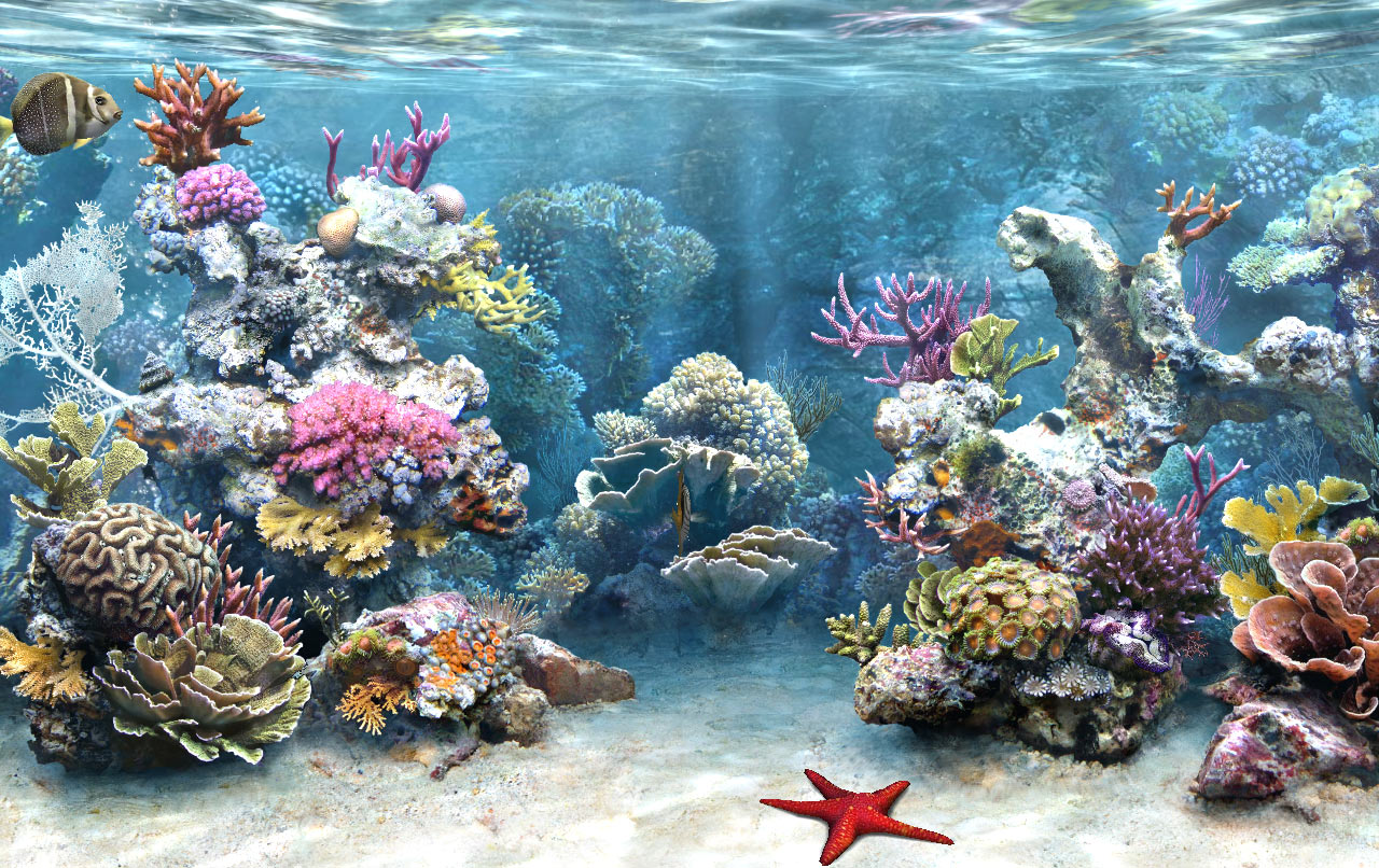 sim-aquarium-freetank.gif