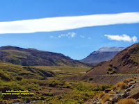 Paisaje con bandera Argentina