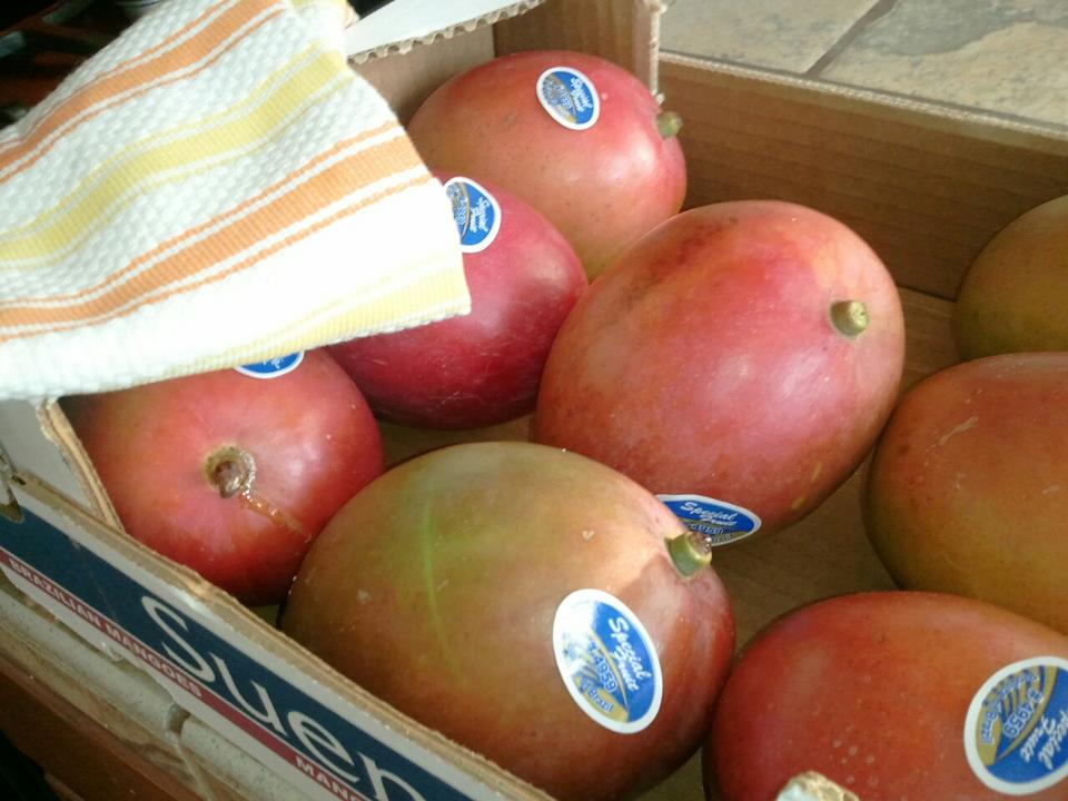 With Roots in Miso Mango Jam, or Gourmet Syrup, or Smoothie Flavoring