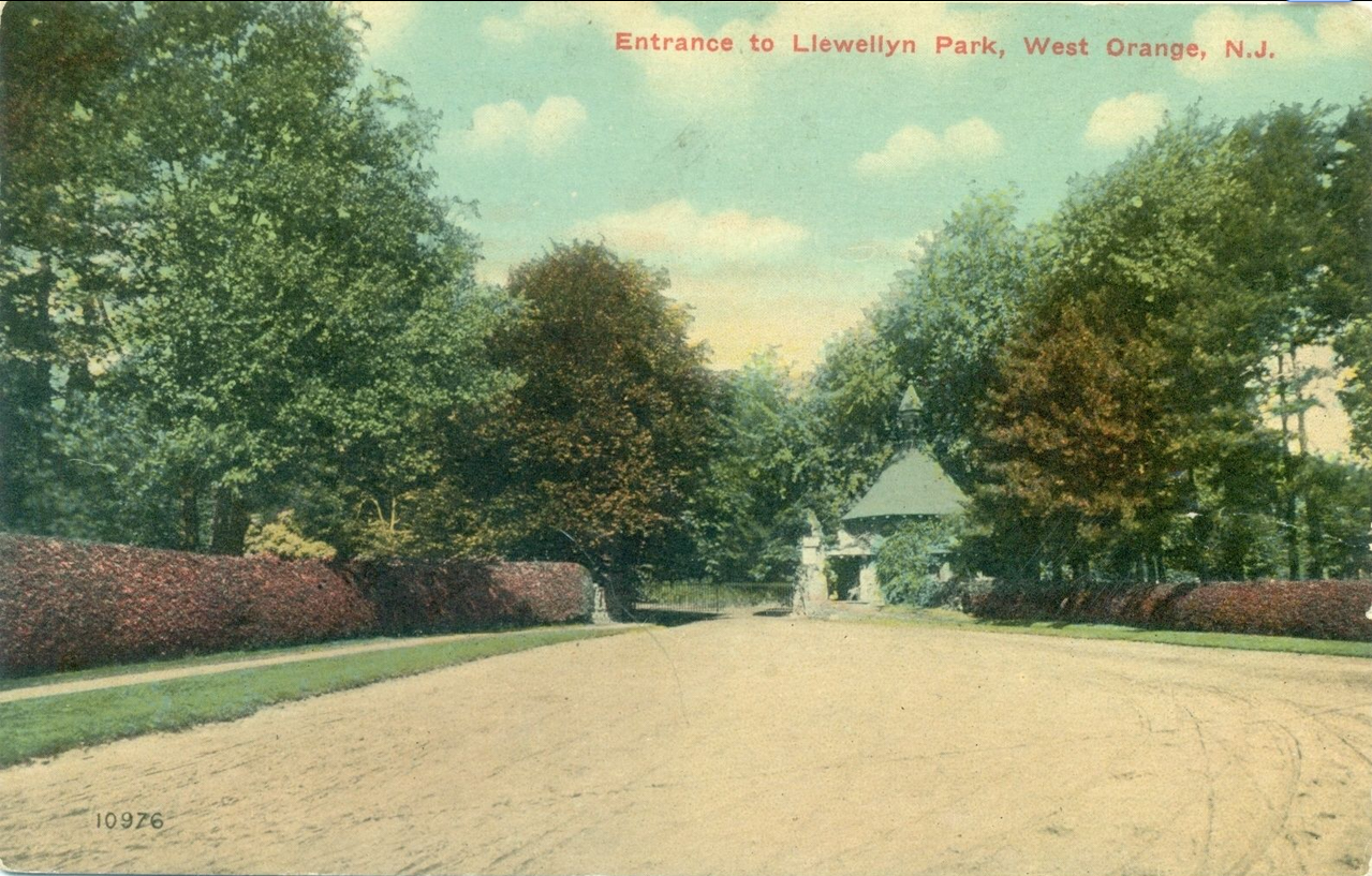 Stockton School Llewellyn Park