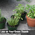 Spend Less on Your Green Thumb
