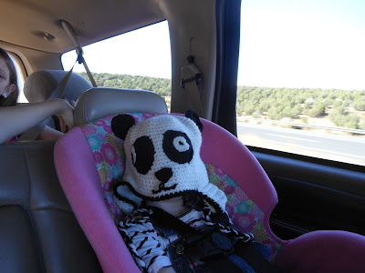 panda hat on baby