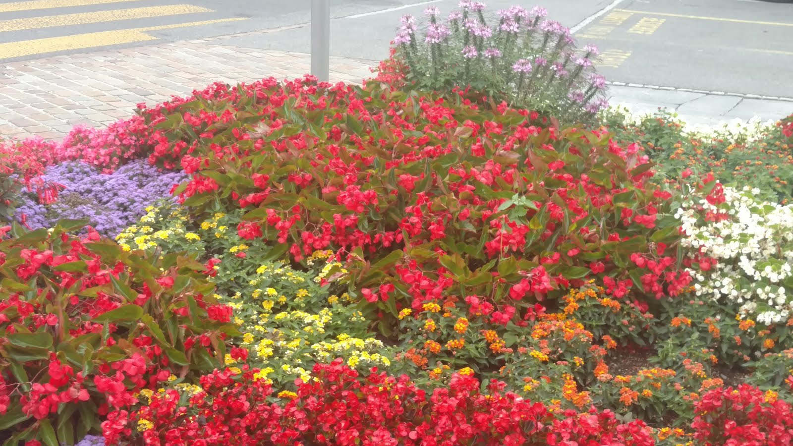 The Matrix of World Travel Lucerne, Switzerland the Alps + the peaks