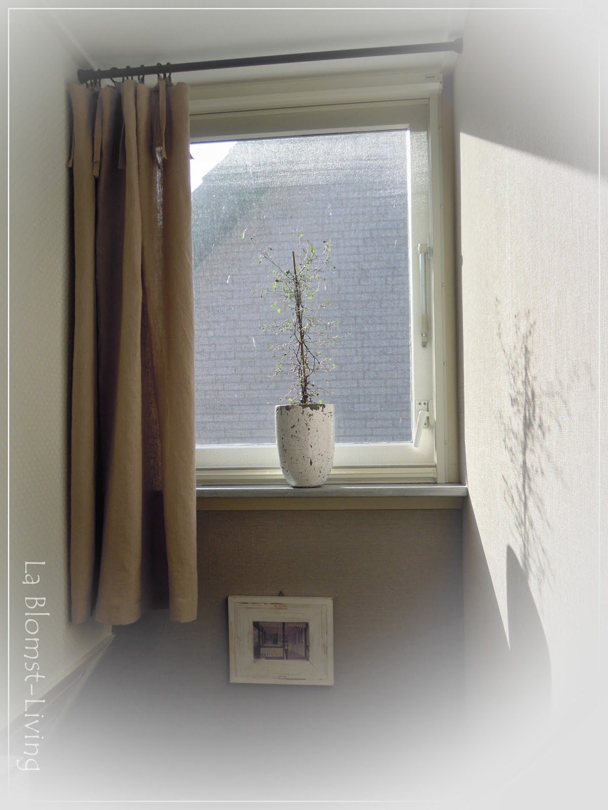 La blomst living: gordijn en plant