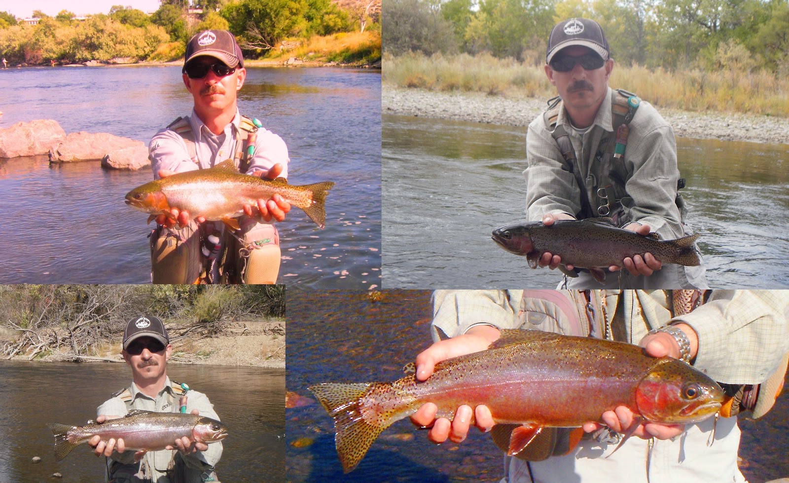Arkansas River Tailwater Fly Fishing Report September 2012