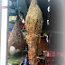 Sarang Burung Tempua