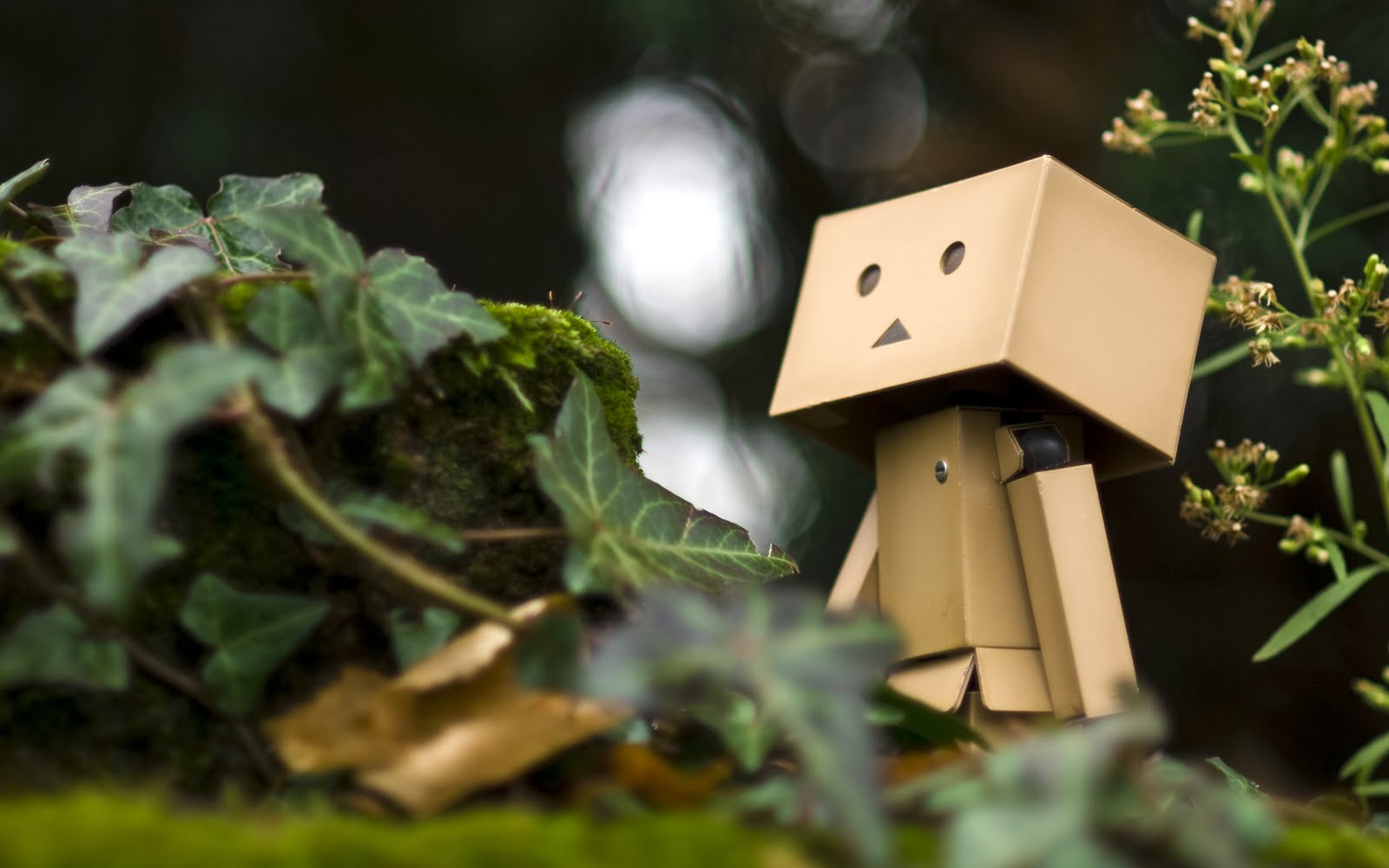 http://4.bp.blogspot.com/-ukhNotcMESo/Tb_RpqxjhWI/AAAAAAAAAh4/3POUeaR8Euc/s1600/Danbo%252BDanboard%252BHD%252BWallpaper%252B5.jpg
