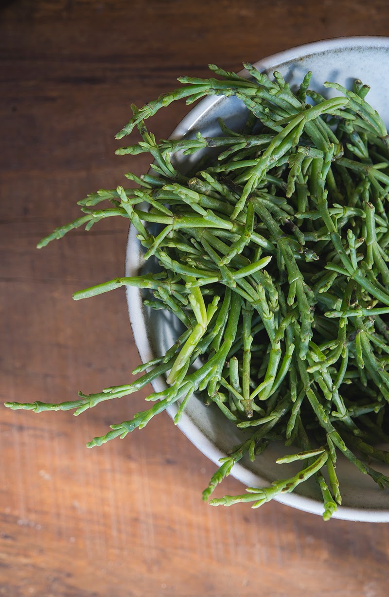 Sea Asparagus (Sea Bean) Salt WILD GREENS & SARDINES