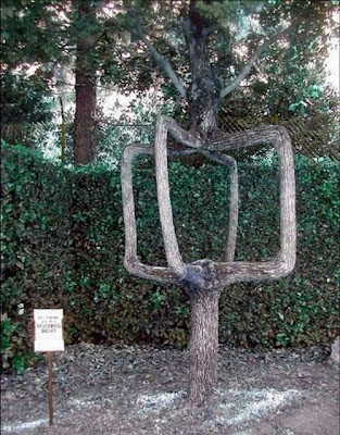 Great and Funny Trees