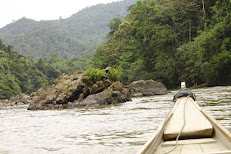 Subayang river