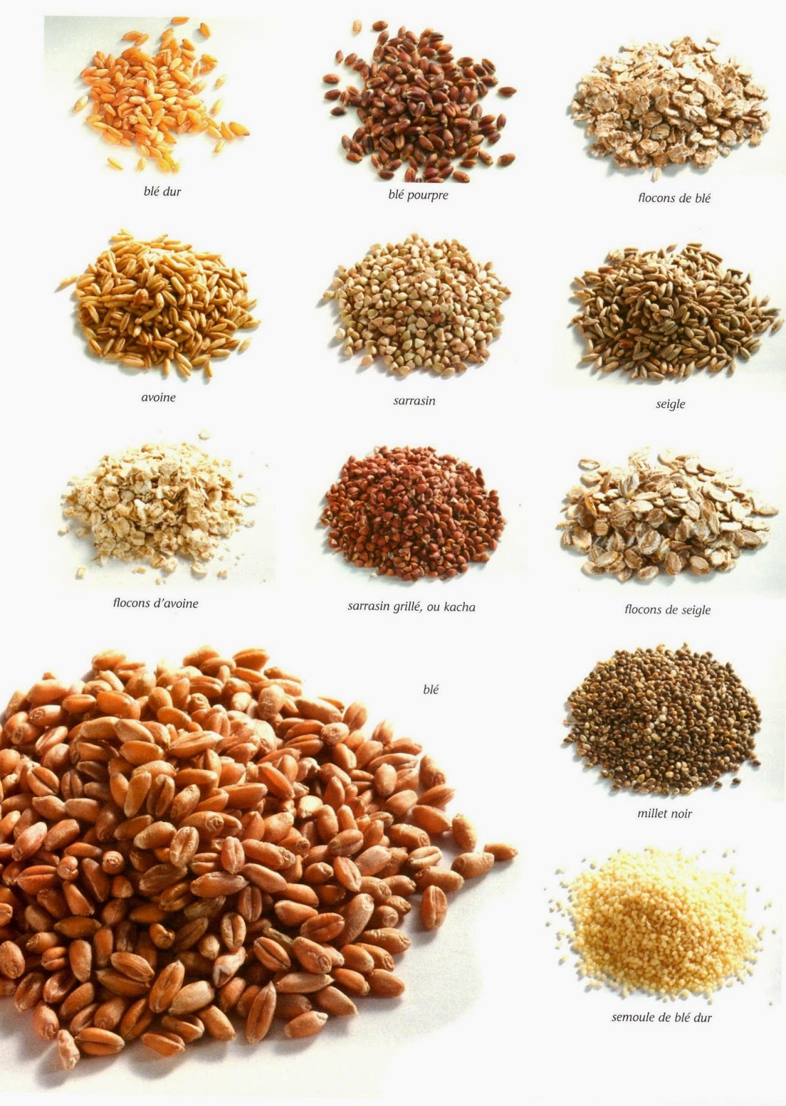The Wandering Girl Tout savoir sur... les céréales et les graines