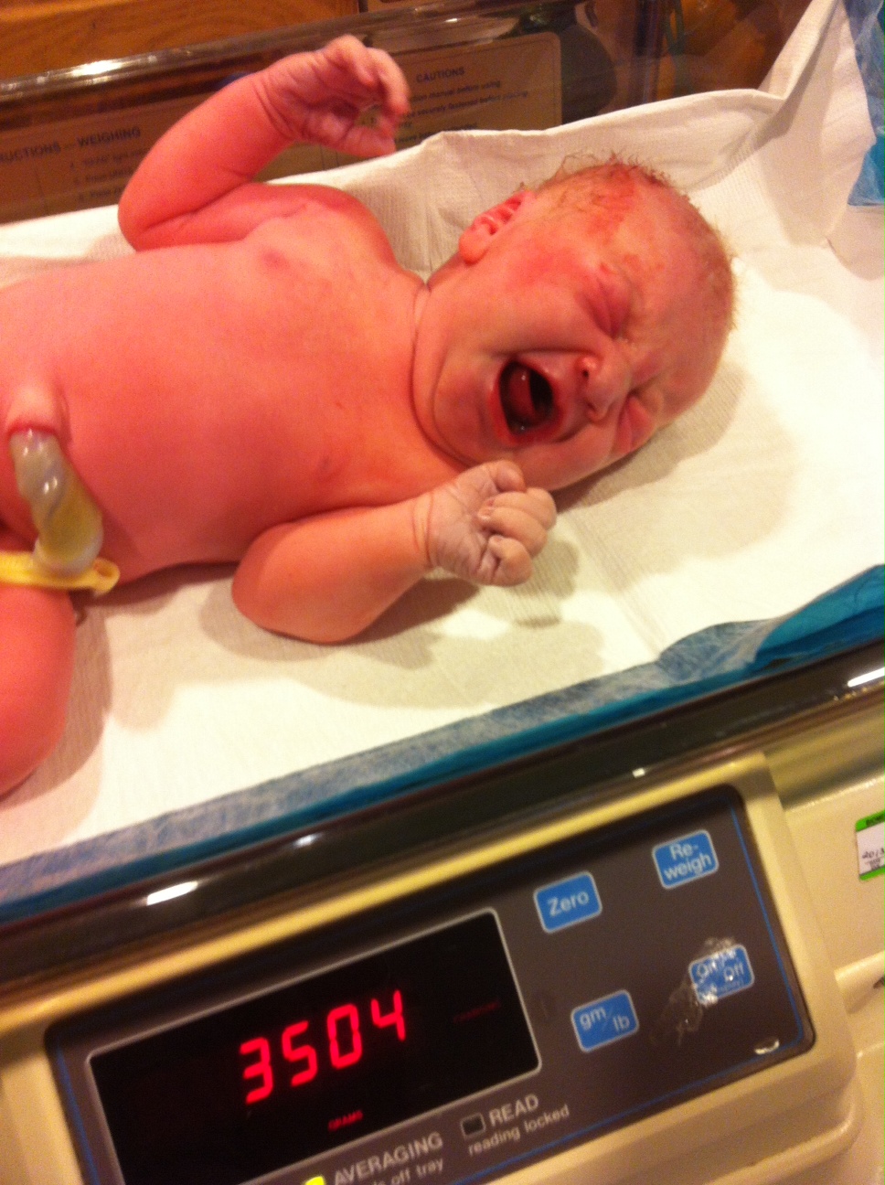 A Little Blueberry Lemon's Birth Story