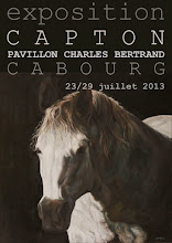 CABOURG : EXPOSITION PERSONNELLE DE CAPTON