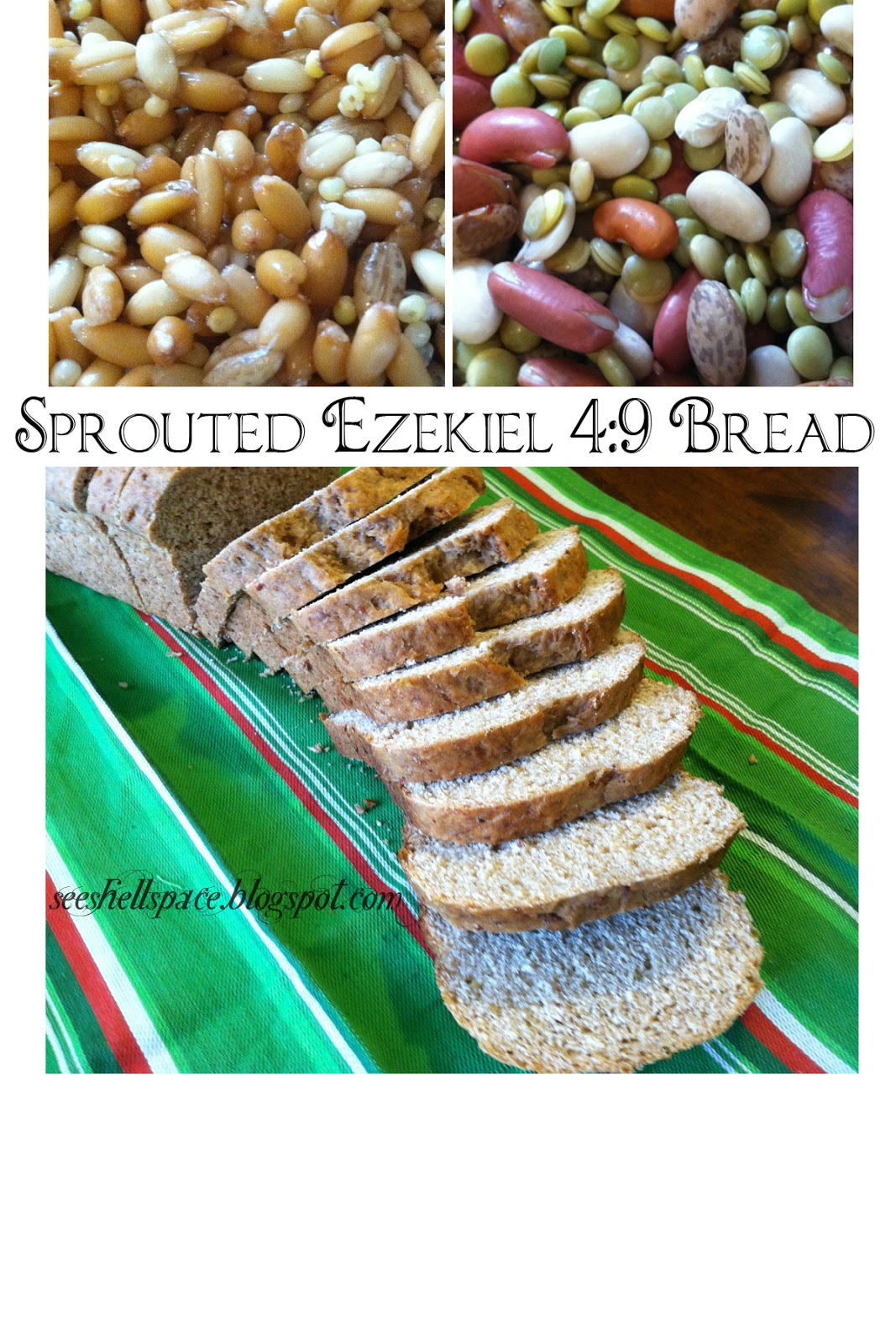 seeshellspace Sprouted Ezekiel 49 Bread
