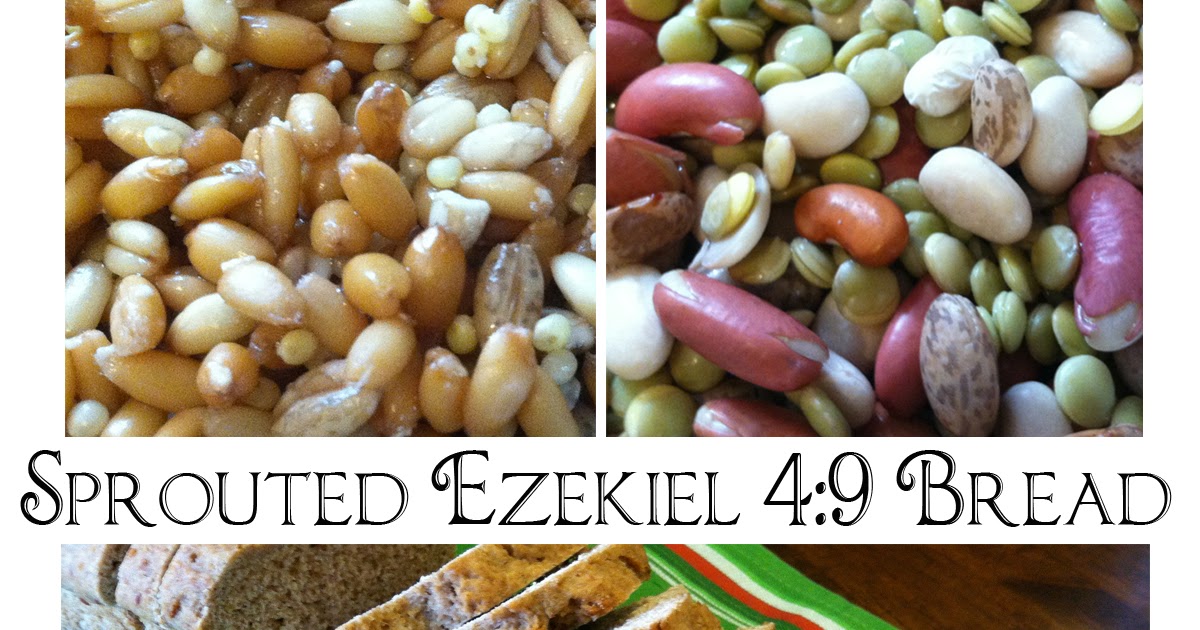 seeshellspace Sprouted Ezekiel 49 Bread