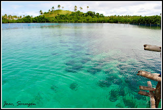Juag Fish Sanctuary Sorsogon Juag Fish Sanctuary Sorsogon