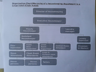 Housekeeping Organizational Chart Small Hotel