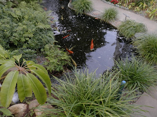 Koi Pond, Photo by Kaliani Devinne, Copyright 2013 Koi Pond, Photo by Kaliani Devinne, Copyright 2013