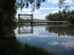 Murray river at Swan Hill
