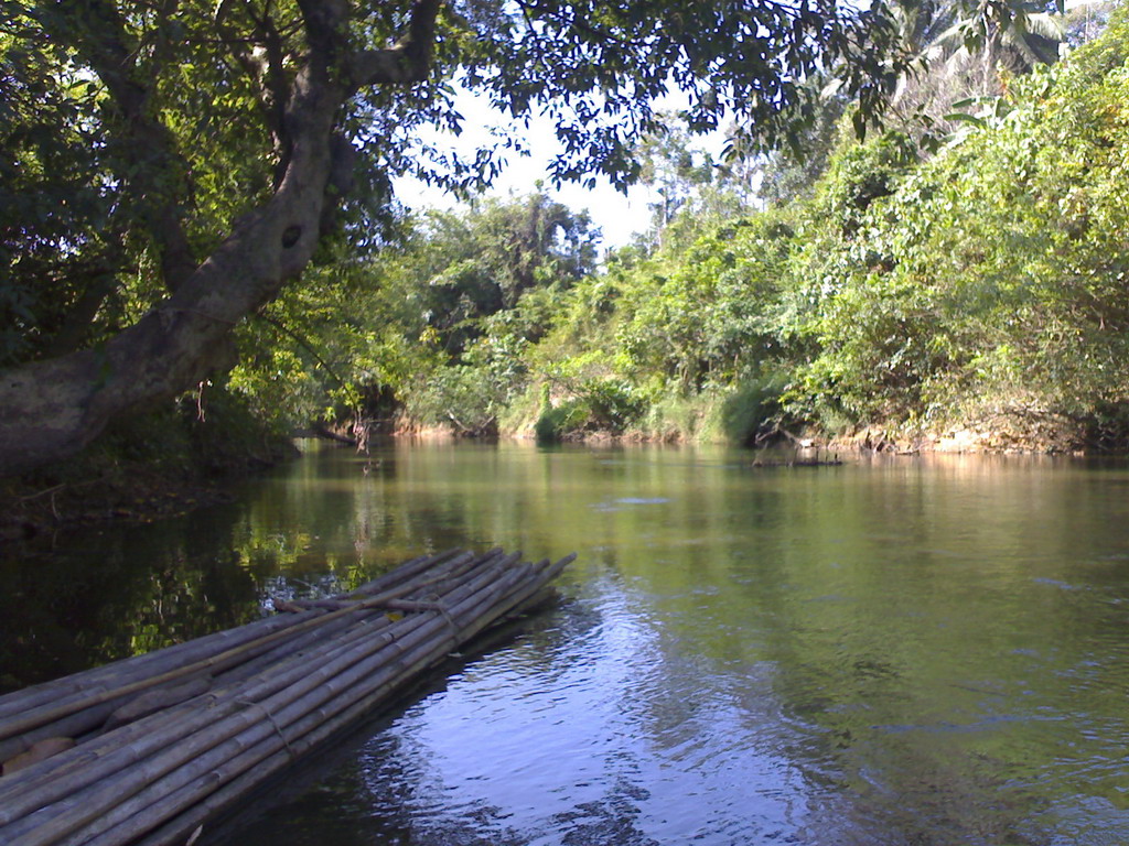http://4.bp.blogspot.com/-unRHzewmx9U/Th3-WC1hMPI/AAAAAAAACb0/LZ6VKqpVbOs/s1600/Desktop%2BNature%2BWallpaper-3.jpg