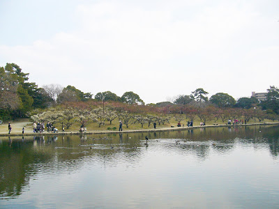 兵庫県・伊丹市 緑ヶ丘公園の梅