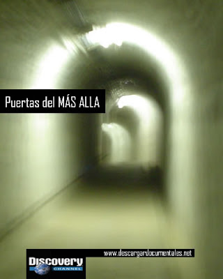 taringa taringa